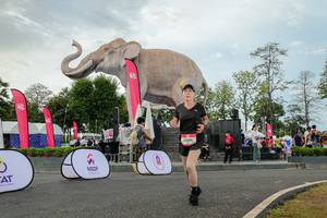 BIB: 
                            <button type="button" onclick="openModal(26528691)" class="btn btn-primary btn-sm float-right btn-popup" data-toggle="modal" data-target=".modal-high-quality">
                        <i class="fas fa-shopping-cart"></i> Add to Cart
                    </button>
                                            <button type="button" onclick="isThisMe(26528691, true)" class="btn btn-success btn-sm float-right btn-popup btn-isme hidden" data-toggle="tooltip" data-placement="bottom" title="นี่คือรูปของคุณใช่ไหม คลิกที่นี่เพื่อเอาเข้าอัลบั้ม">
                        <i class="fas fa-plus"></i> Add to album
                    </button>
                    <button type="button" onclick="isThisMe(26528691, false)" class="btn btn-warning btn-sm float-right btn-popup btn-isnotme hidden">
                        <i class="fas fa-ban"></i> Remove from album
                    </button>